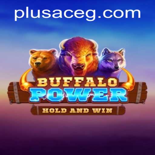 Exploring the Exciting World of BuffaloPower: PlusAce